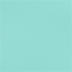 Basic Polyester Aqua